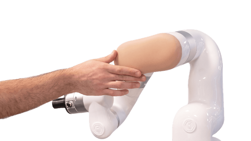 Close-up of Muca tactile skin being touched