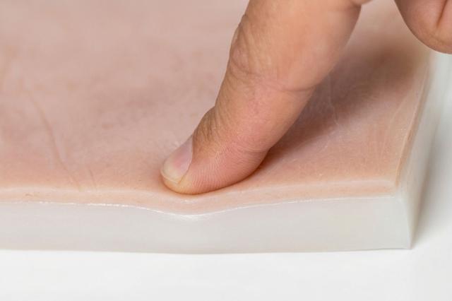Hypodermis